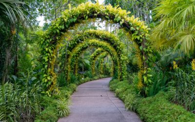 Five steps to get lawn maintenance